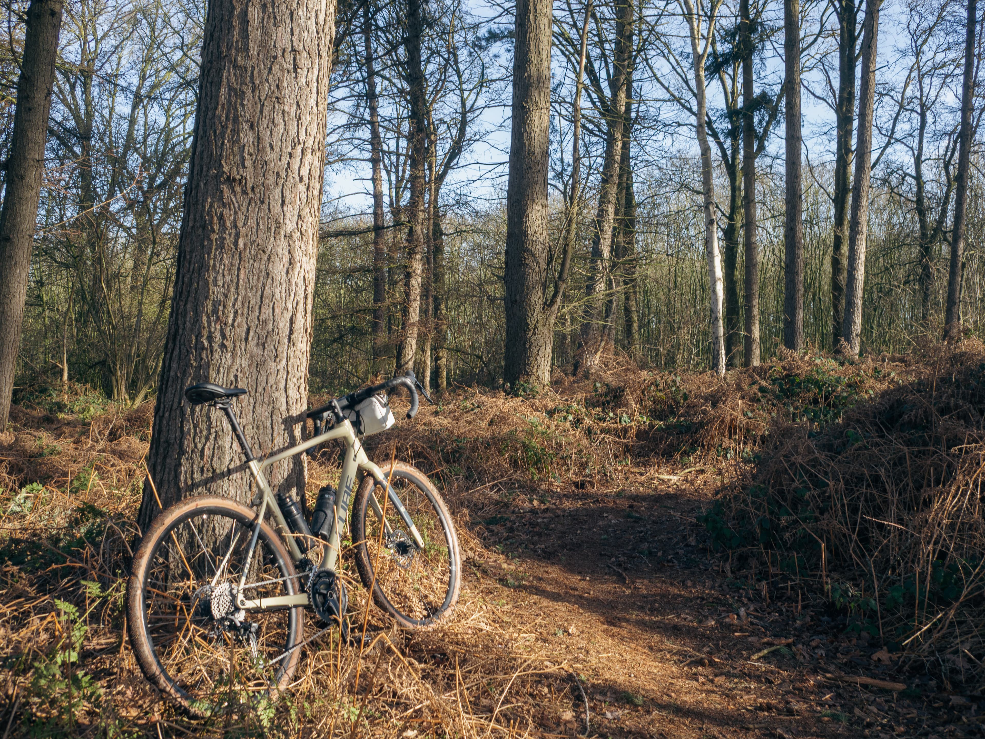 Het Erfgoed van het Vrijbos